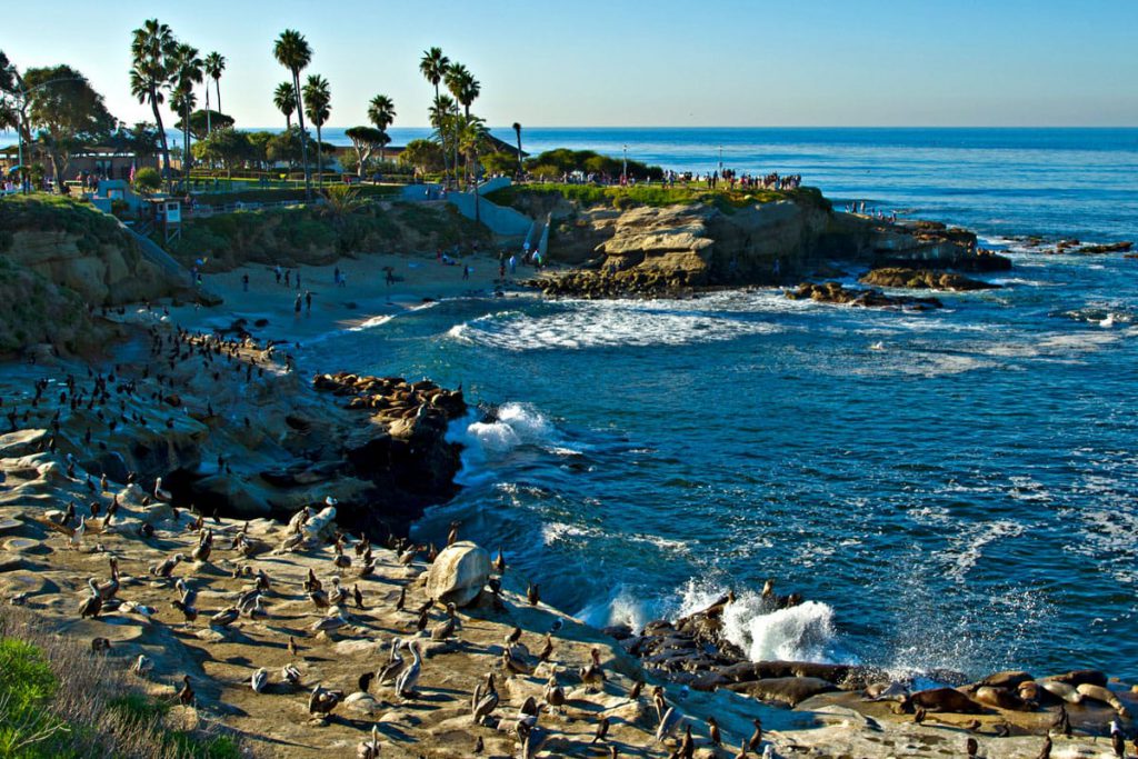 La Jolla Cove: 8 Things Even the Locals Don't Know