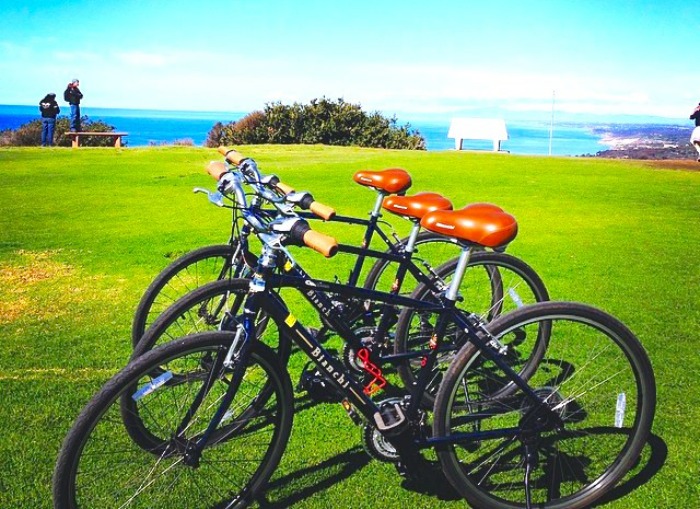 Explore La Jolla Cove on Wheels