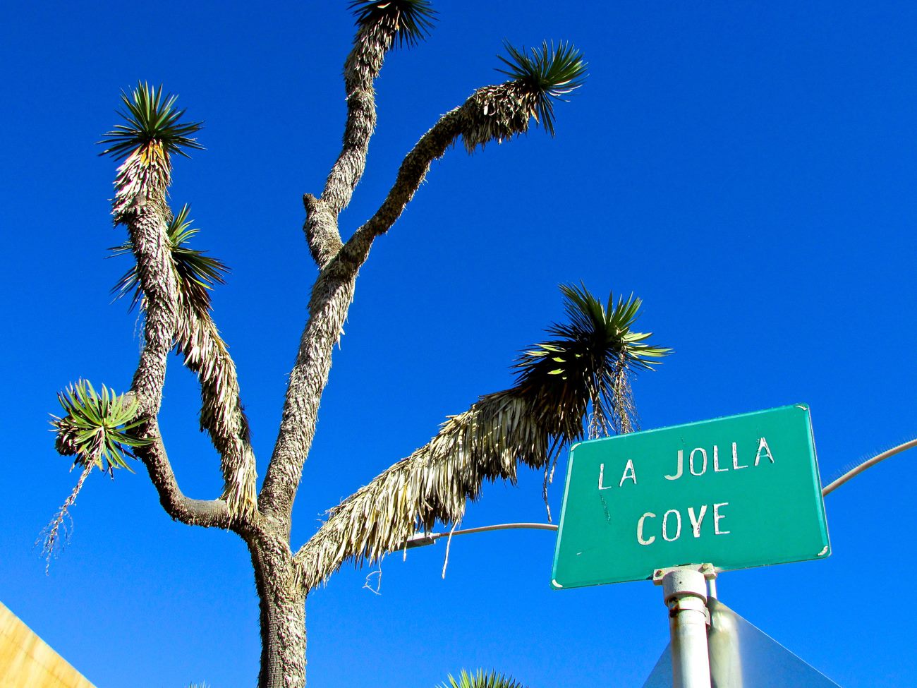 Why La Jolla Doesn't Actually Mean 'The Jewel'
