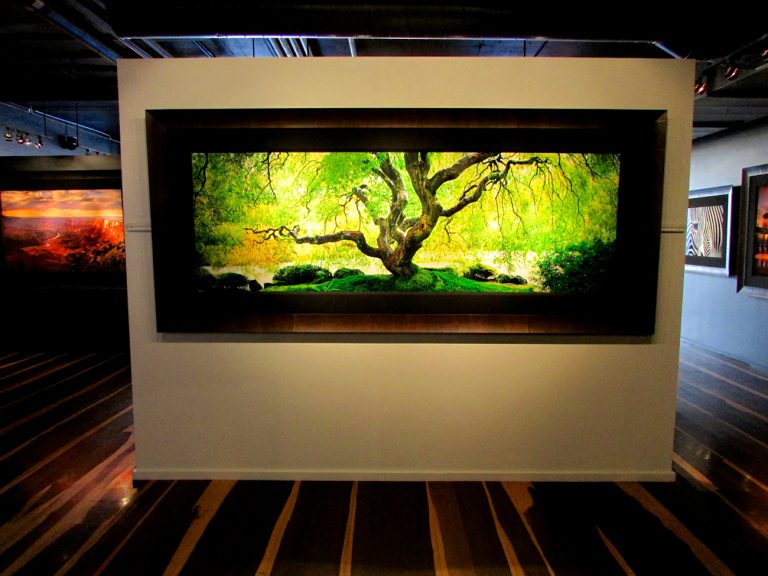 Top 5 Art Galleries in La Jolla (With Great Collections)