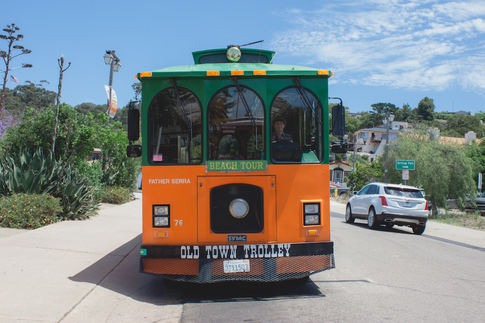 la jolla bus tour