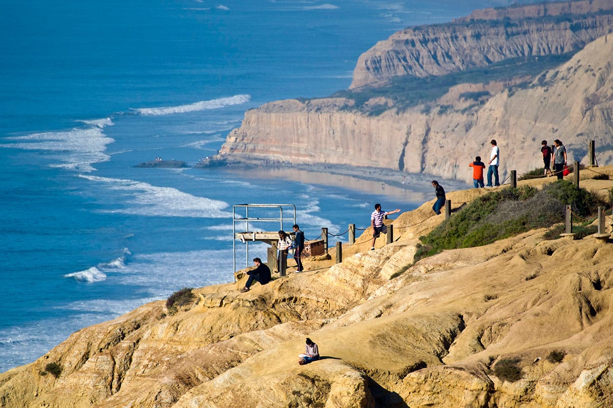 are dogs allowed at torrey pines hike