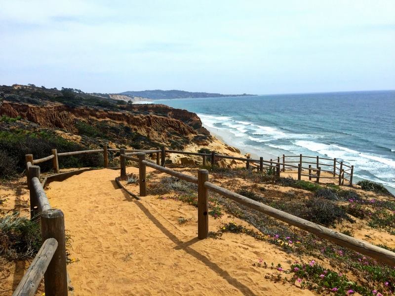 are dogs allowed at torrey pines hike