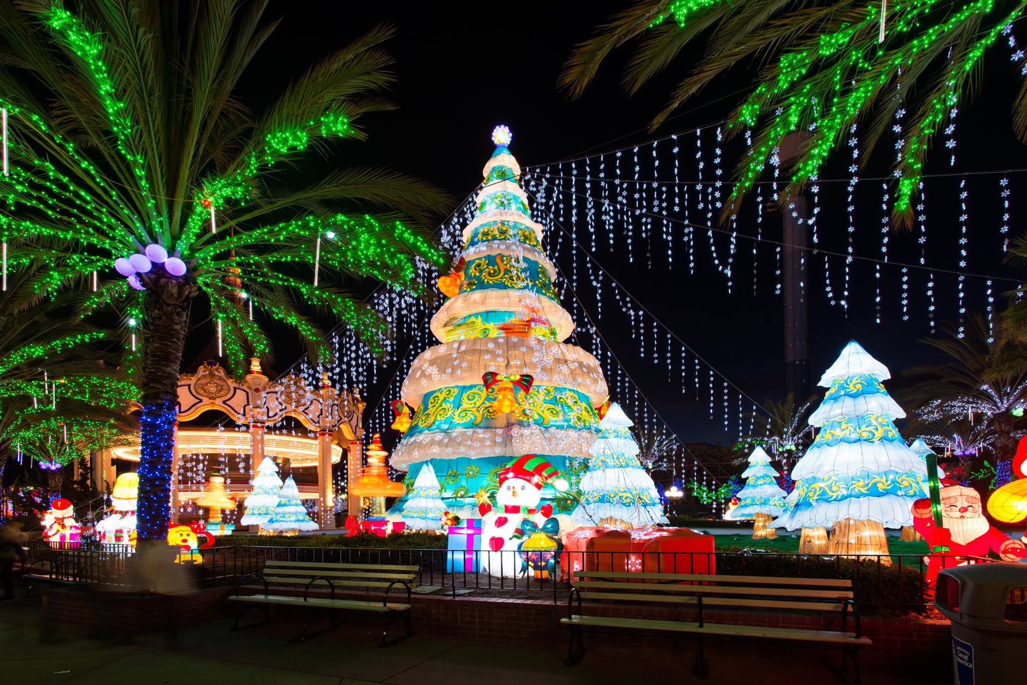 Where to See the Best Christmas Light Displays in San Diego in 2024