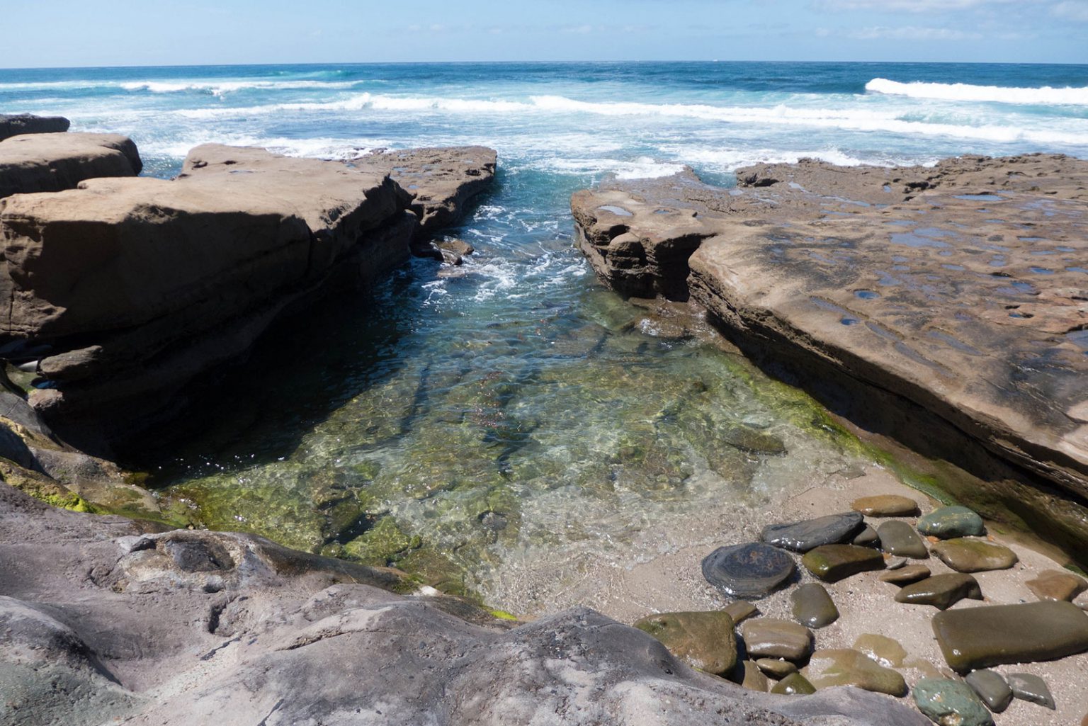 Complete Guide to the La Jolla Tide Pools LaJolla com