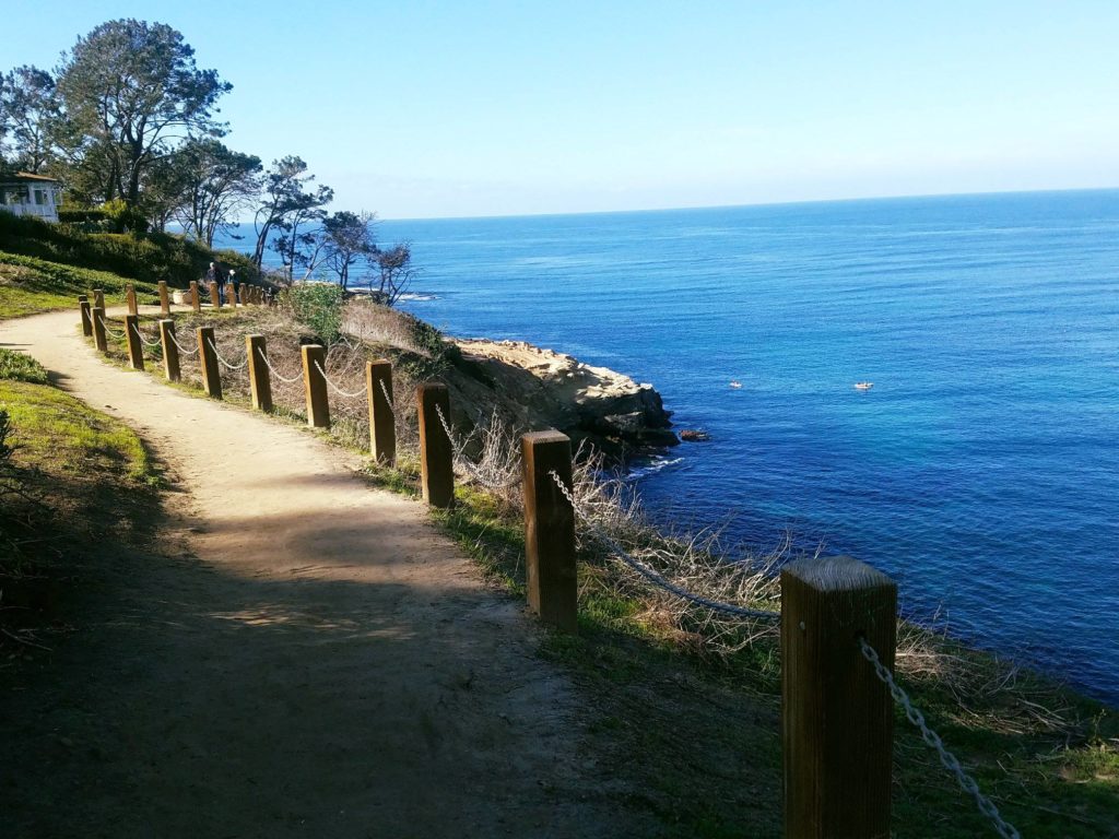 Ocean view from the La Jolla California Coastal Walk trail 