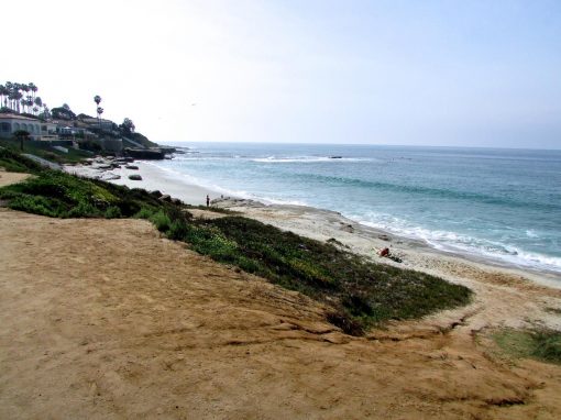 la-jolla-bird-rock-windansea-2