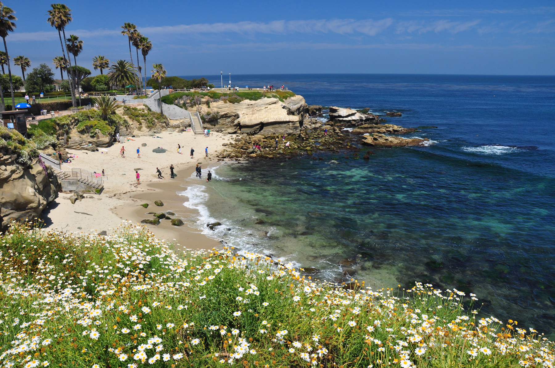 The Ultimate La Jolla Summer Bucket List LaJolla
