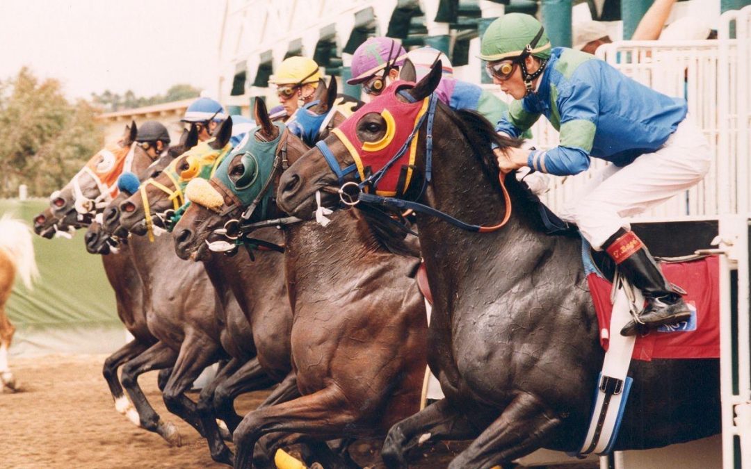 la-jolla-del-mar-races