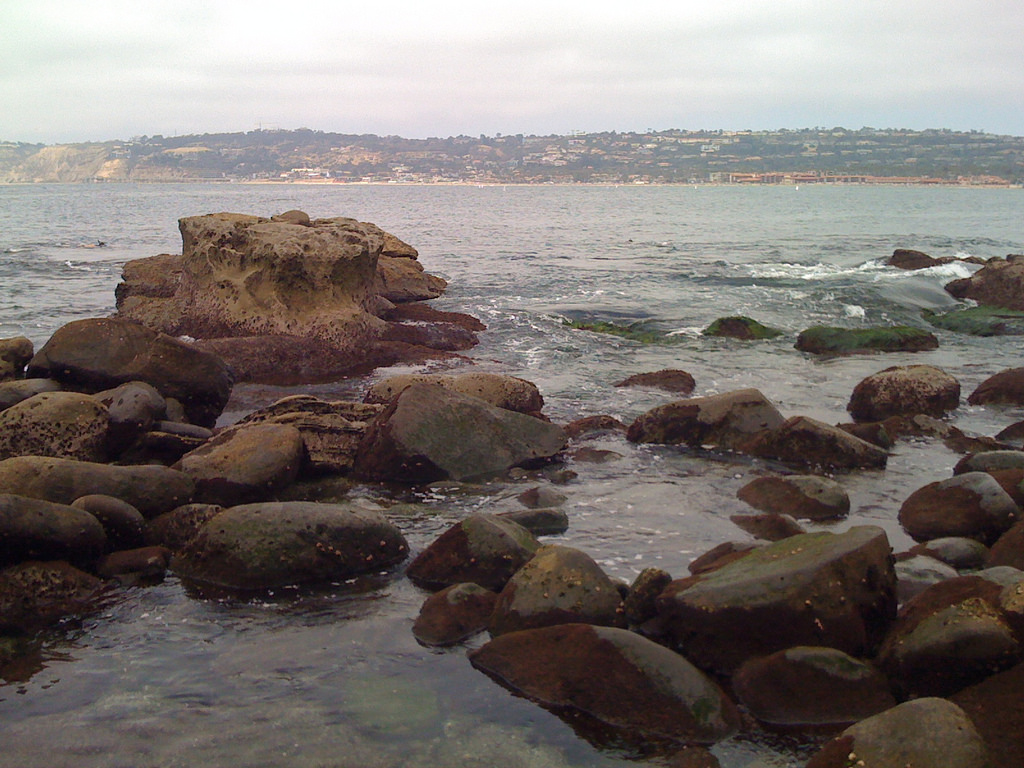 la jolla tidal pools