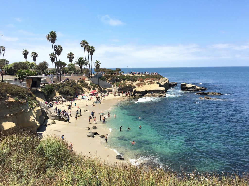 la jolla cove san diego seals