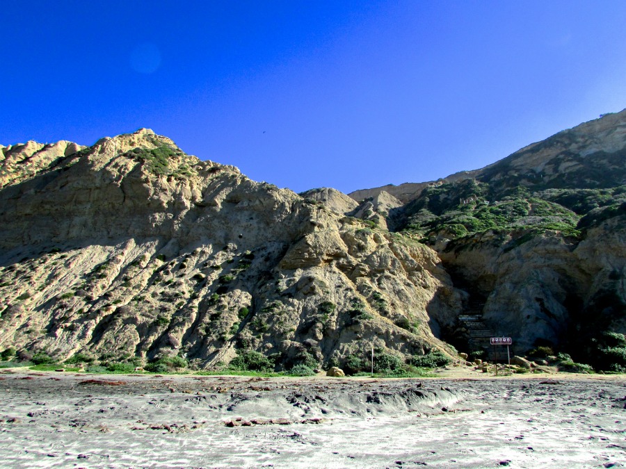 8 Dingen die je misschien niet weet over Blacks Beach