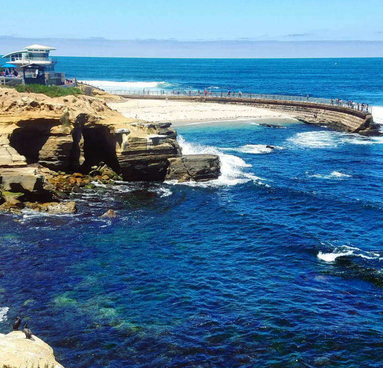 La Jolla Children's pool The Children's Pool in La Jolla California