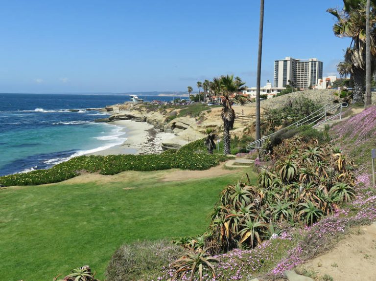 4 Best Picnic Spots in La Jolla Beach or Park? La