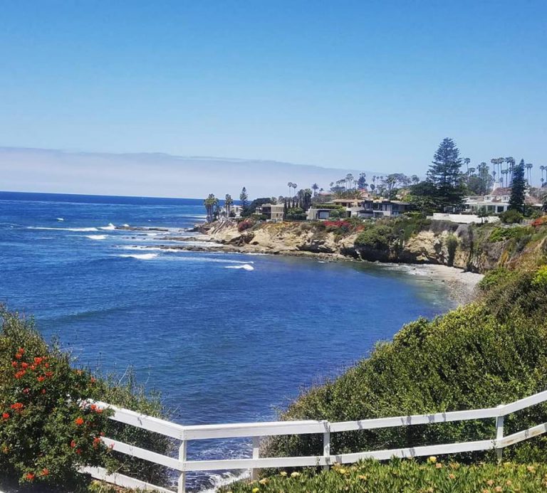 4 Best Picnic Spots in La Jolla Beach or Park? La