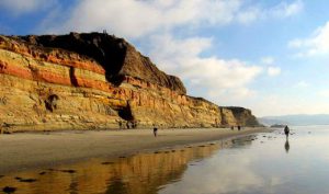 Showcasing the Best Beaches of La Jolla – San Diego Beach Secrets