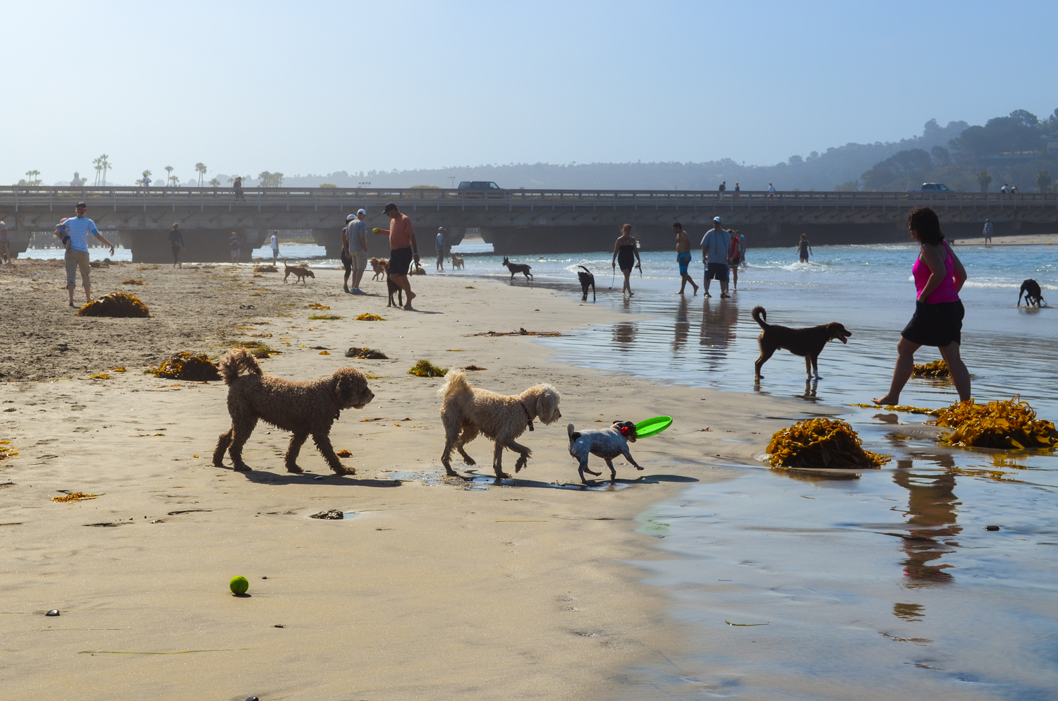 Guia Completo de Praias em Del Mar | LaJolla.com | Li Linguas