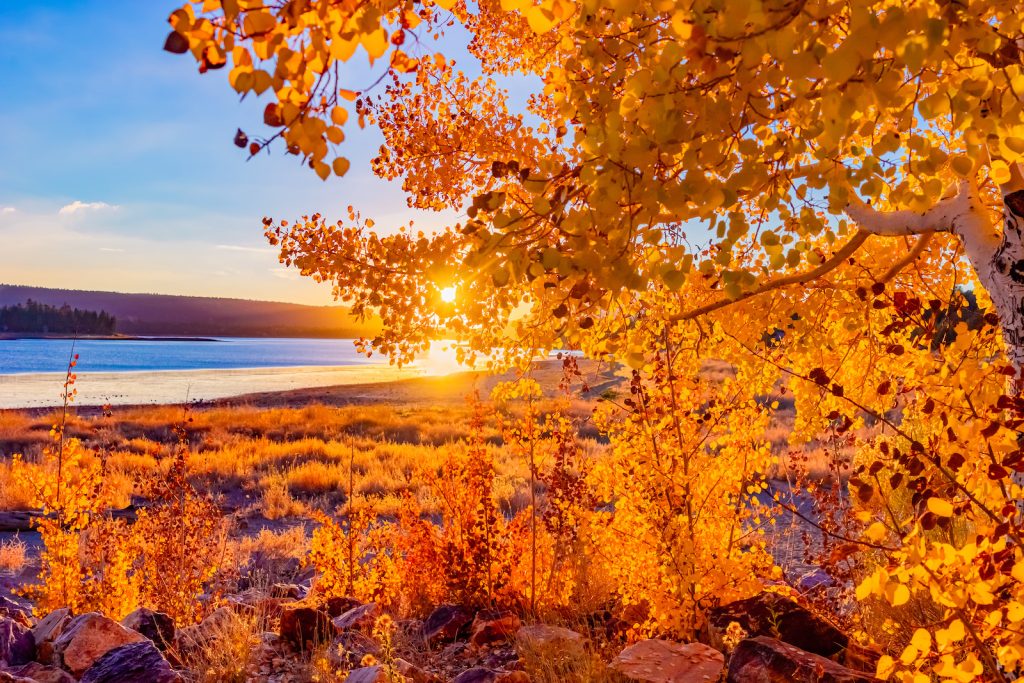 Big Bear Lake in the fall