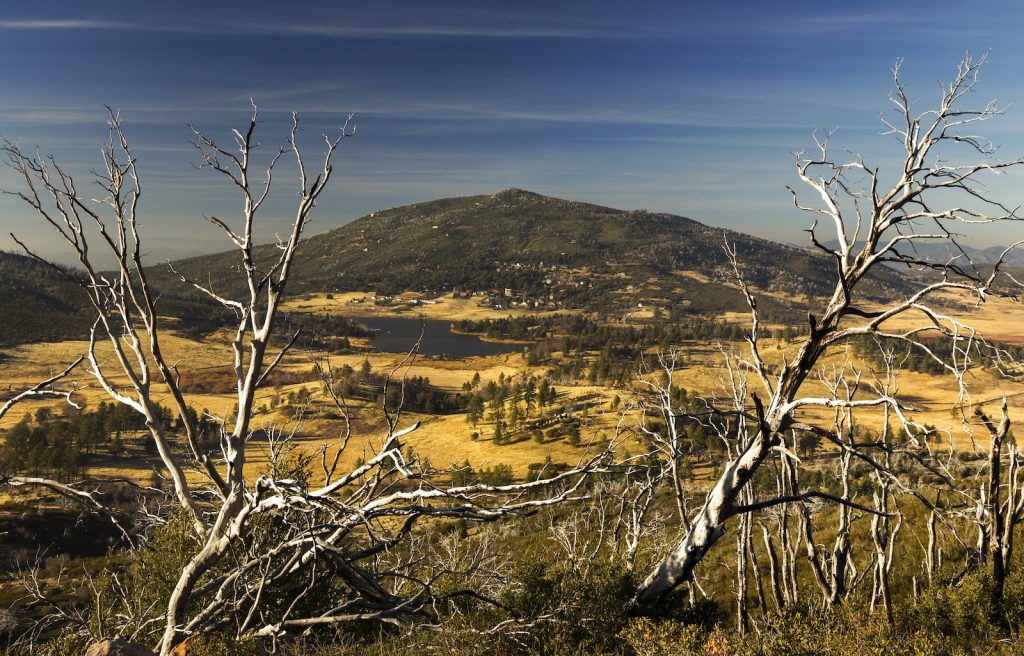 Cuyamaca Rancho State Park