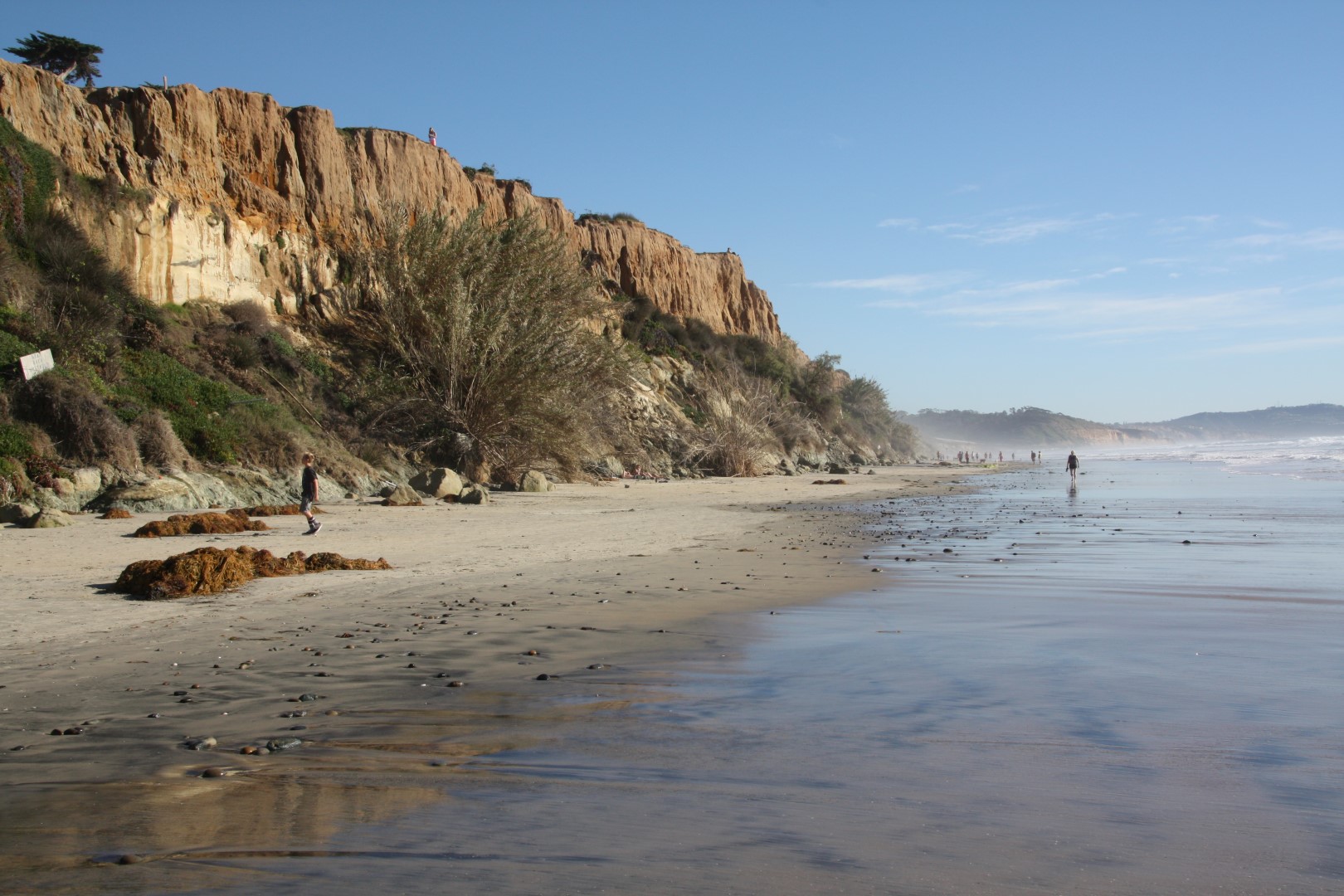 Complete Guide to Beaches in Del Mar | LaJolla.com