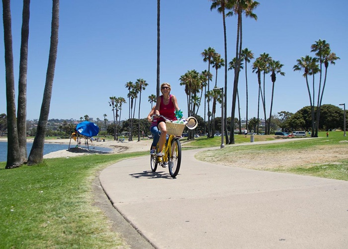 La jolla beach online cruiser