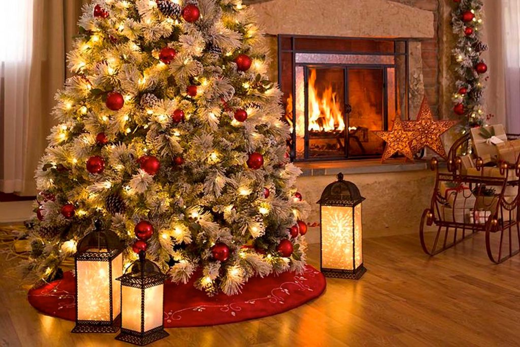 Where to deals buy christmas trees