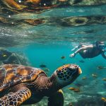 La Jolla Snorkeling - Things to know