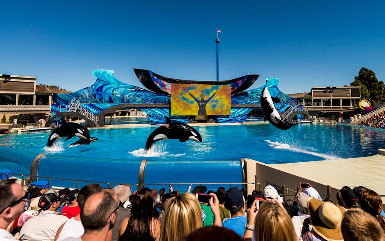 SeaWorld San Diego Theme Park - Aquarium, Zoo & Theme Park in