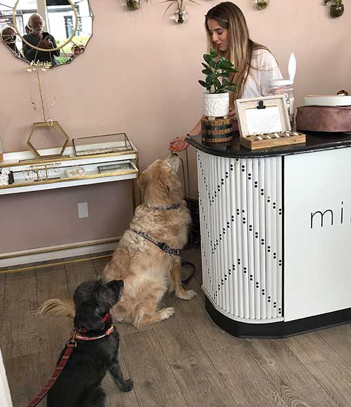 Dog getting treats in Mimi and Red in Birdrock