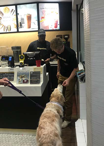 Haagen Dazs Ice cream shop is dog friendly