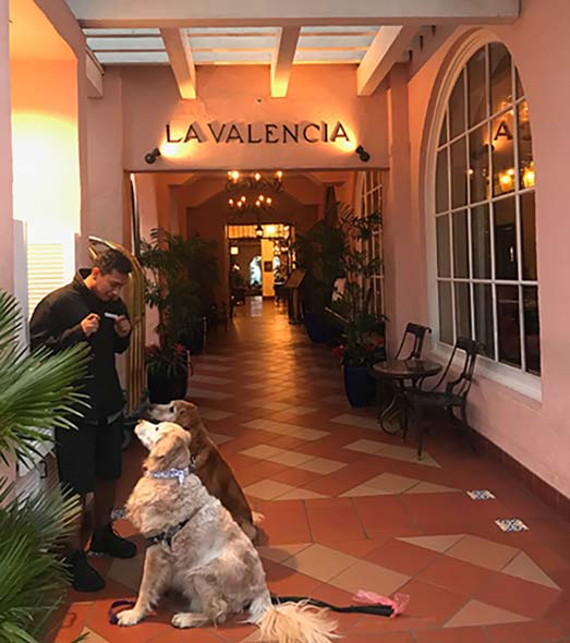 La Valencia Valet