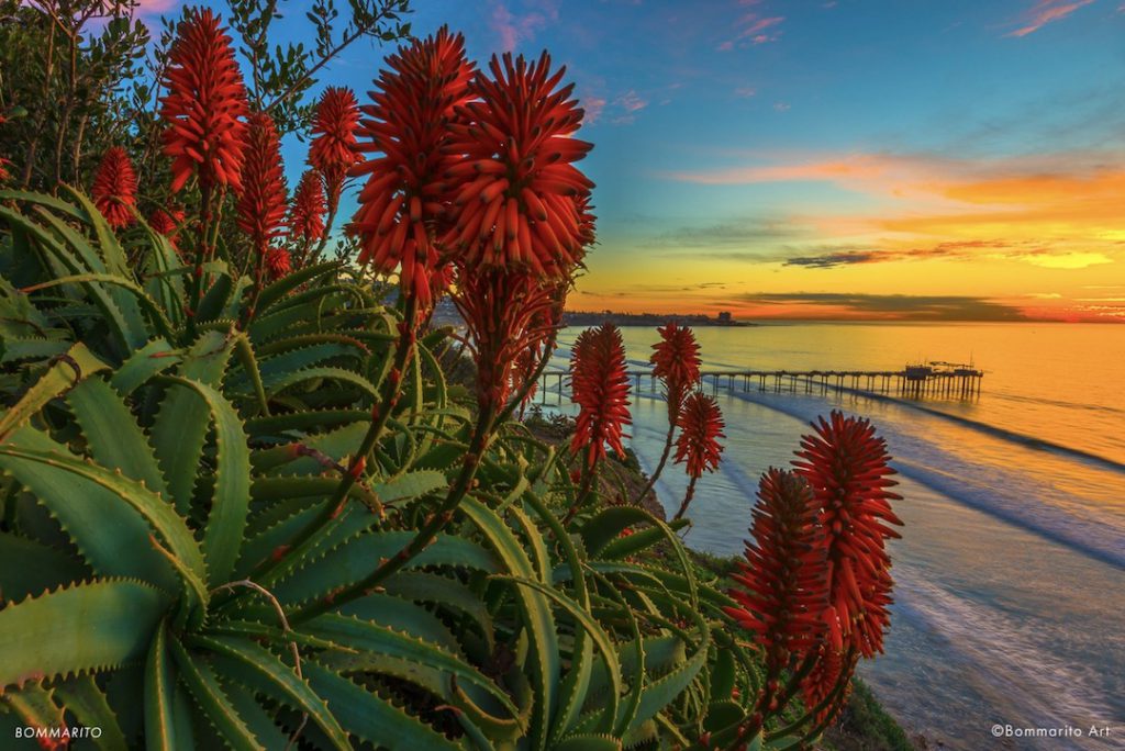 Twilight in La Jolla