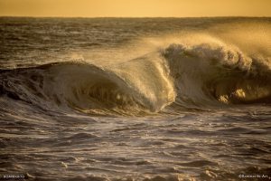 Stay healthy and swim in the San Diego waves