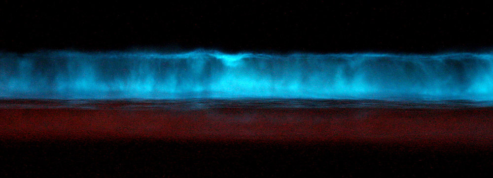 Where to watch the bioluminescent waves in San Diego - Axios San Diego