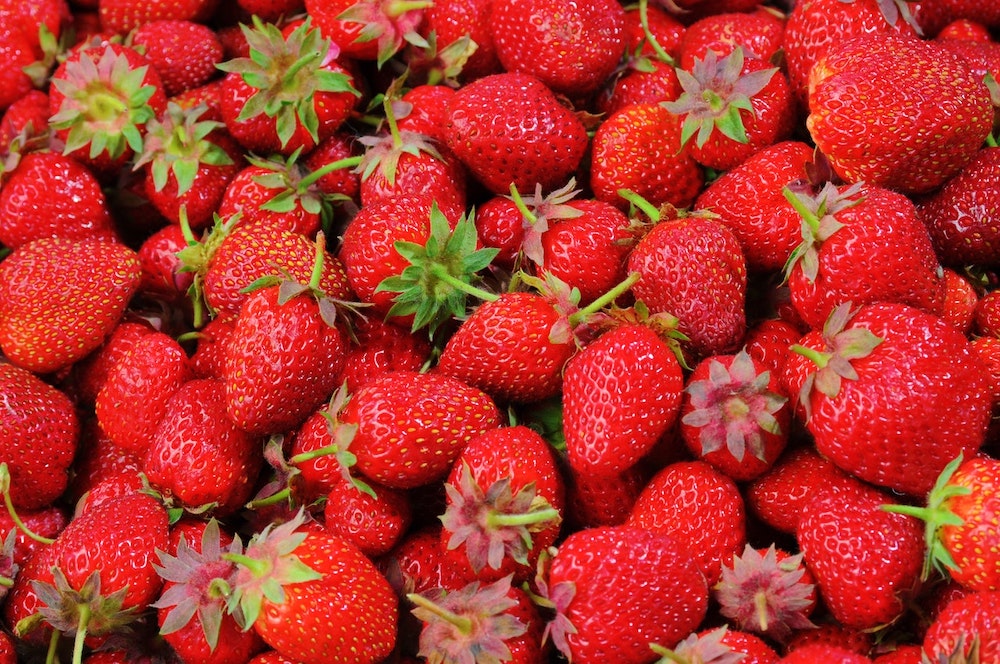 Carlsbad strawberries