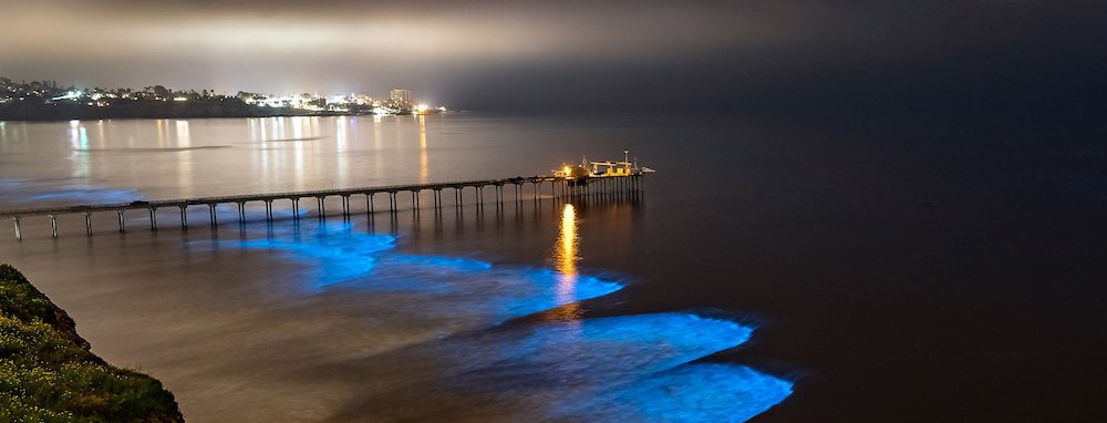 Pictures: Glowing Blue Waves Explained