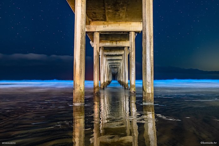 Santa Cruz County waves glow blue from Bioluminescent plankton