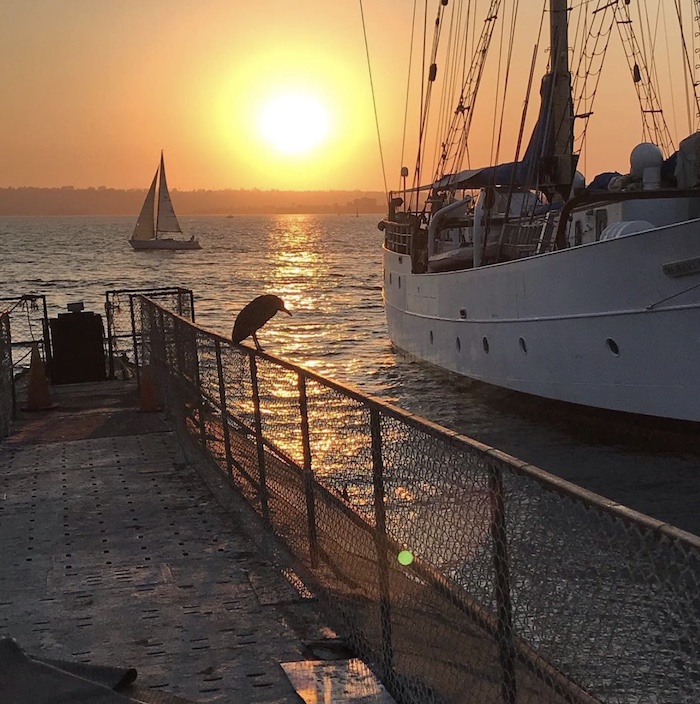 Maritime Museum of San Diego