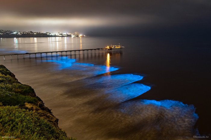 Bioluminescence is a natural phenomena in San Diego