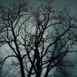Halloween events in San Diego