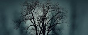 Halloween events in San Diego
