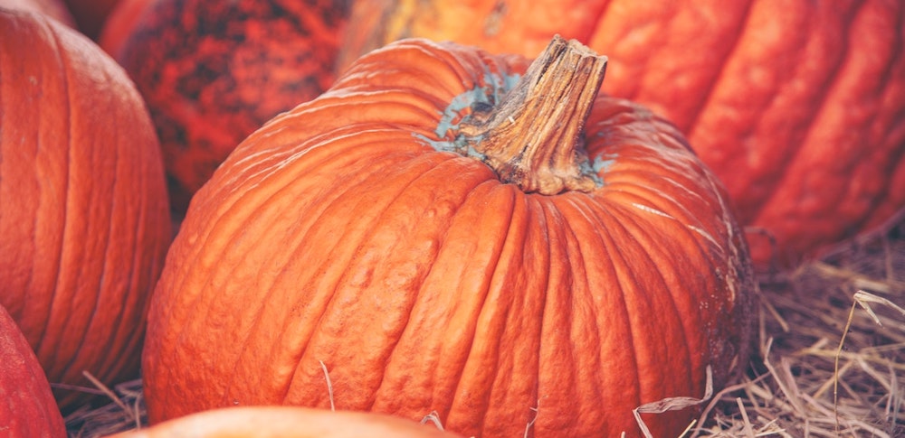 La Jolla pumpkin patch