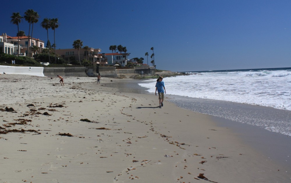 Discover Marine Street Beach La Jolla: A Hidden Gem in San Diego