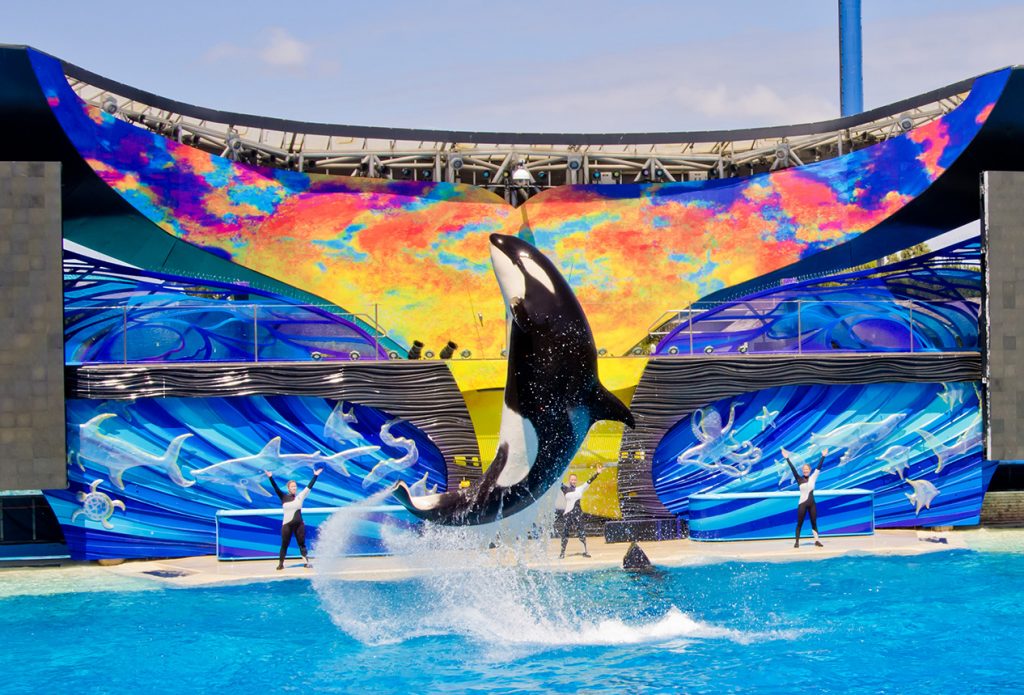 SeaWorld San Diego Hours, Parking, & More!