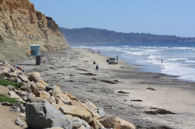 Torrey Pines State Beach - LaJolla.com