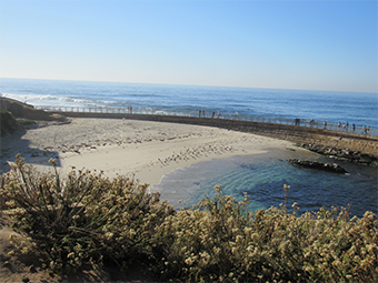 places to visit near la jolla