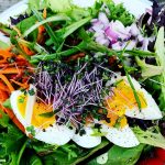 Farm-to-Table Cafe plans UTC location