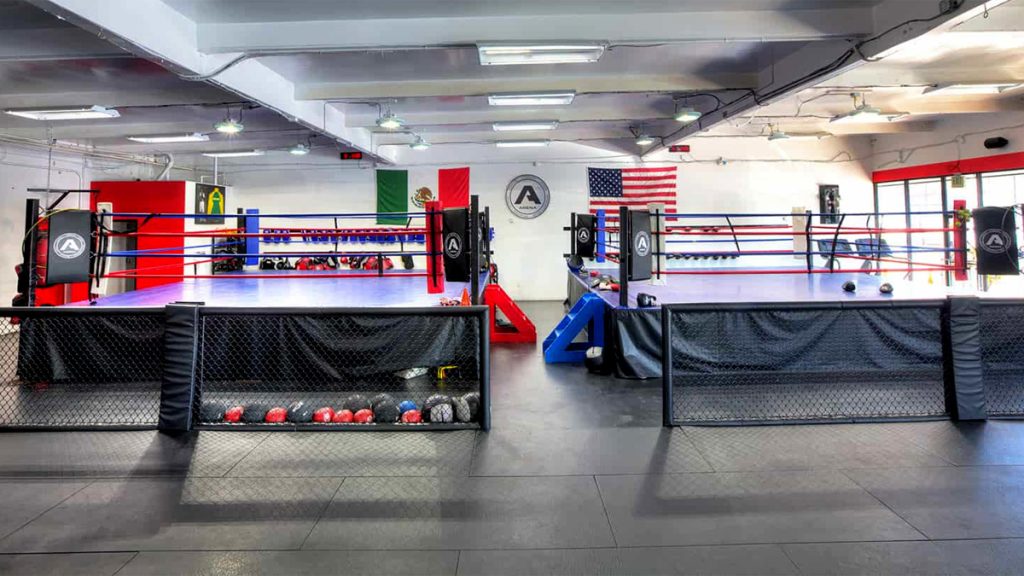 4,733 Boxing Ring Gym Stock Photos, High-Res Pictures, and Images - Getty  Images