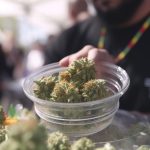 Celebrate 420 in San Diego