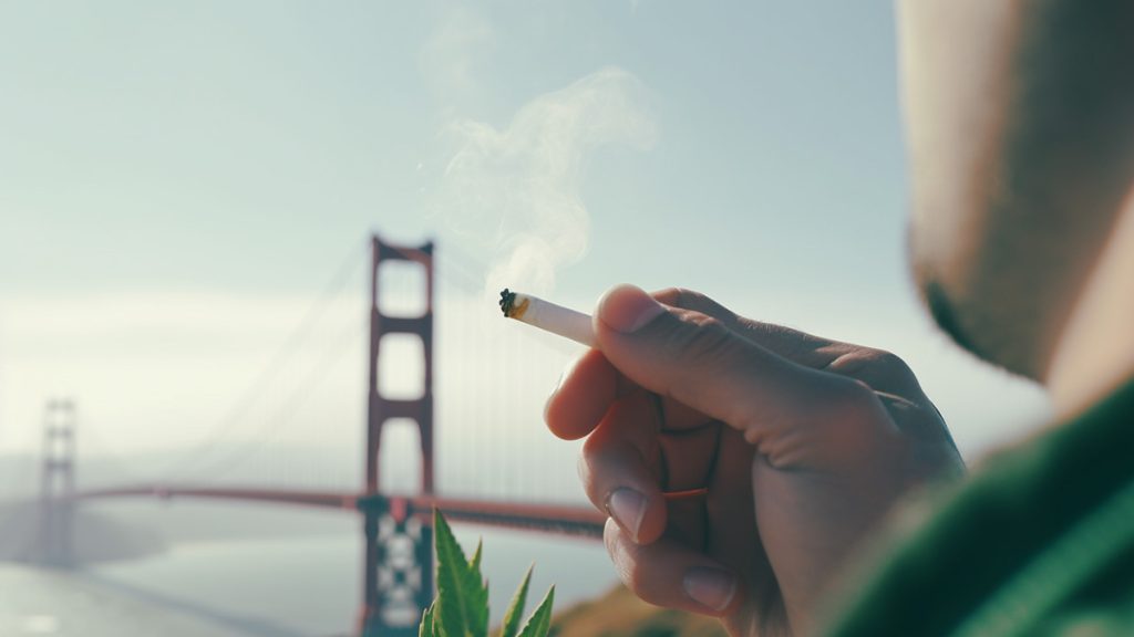 Celebrating 420 in San Francisco in 2023